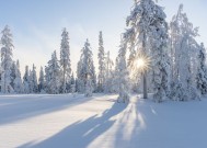 预计拉尼娜现象将影响美国各地的气温和降雪